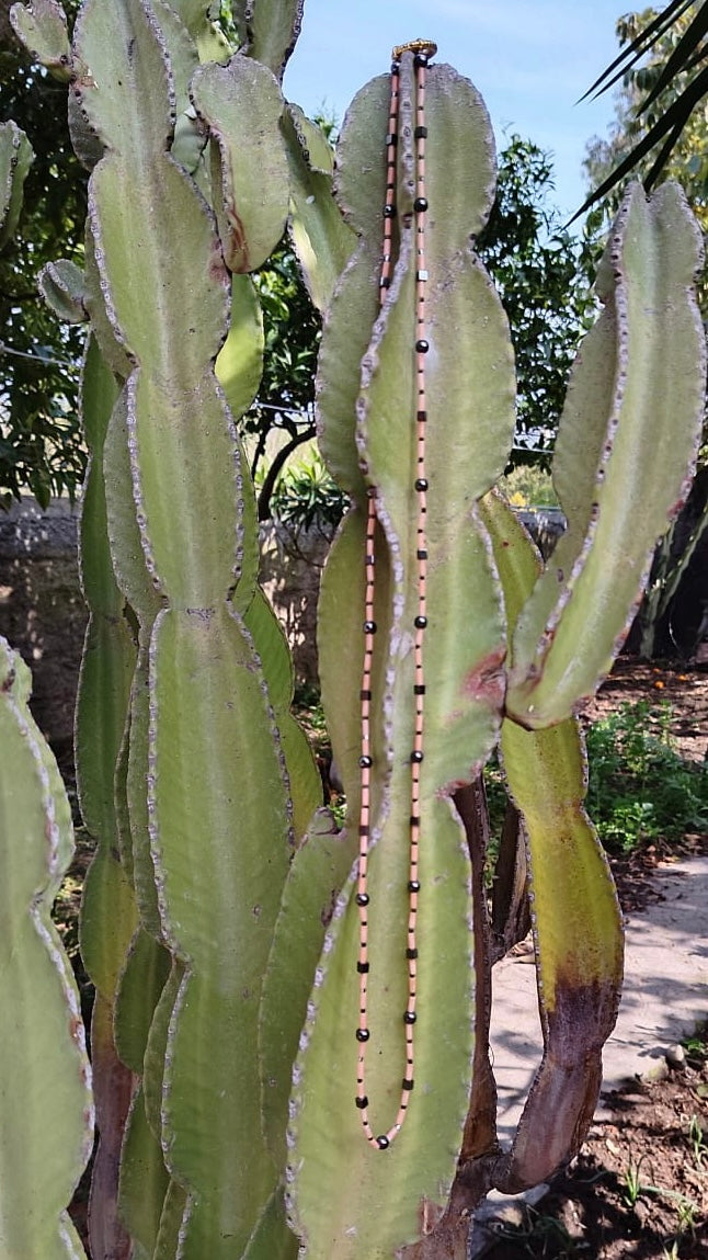 collana cm 99,5 in corallo rosa e terahertz